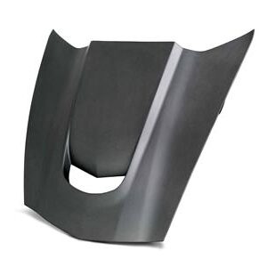 2014-2019 VS DRY CARBON FIBER HOOD (ND)