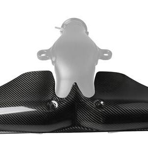 2005-2019 HOLLEY INTEK AIR INTAKE CARBON FIBER COVER